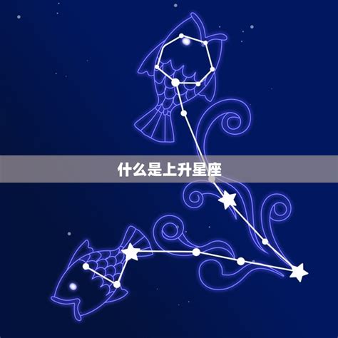 3.15是什么星座|3月15日是什么星座？是双鱼座